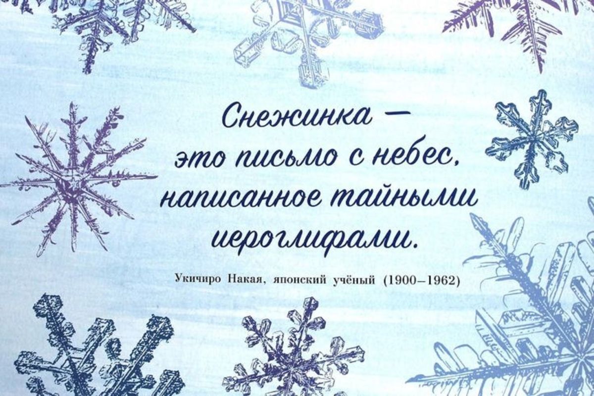 Иллюстрация к публикации