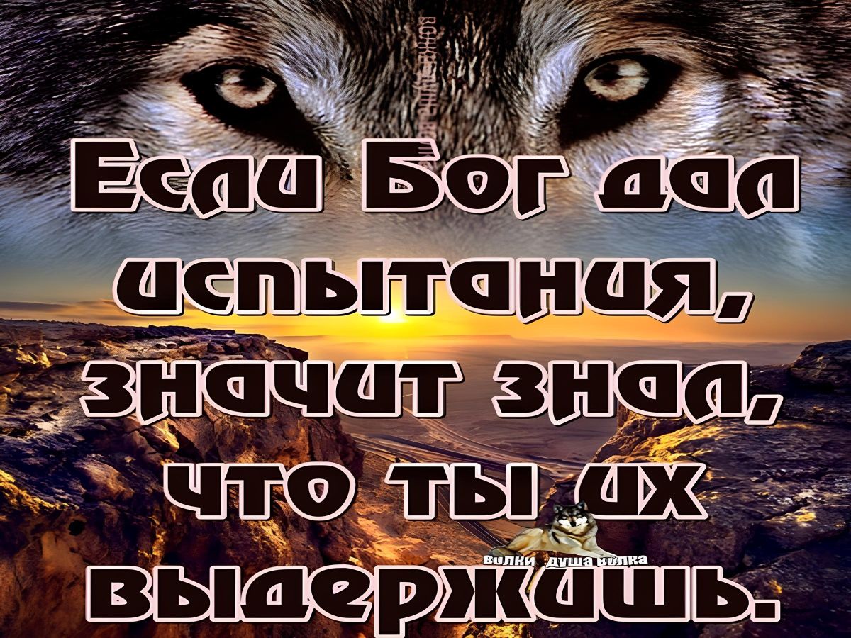 Иллюстрация к публикации