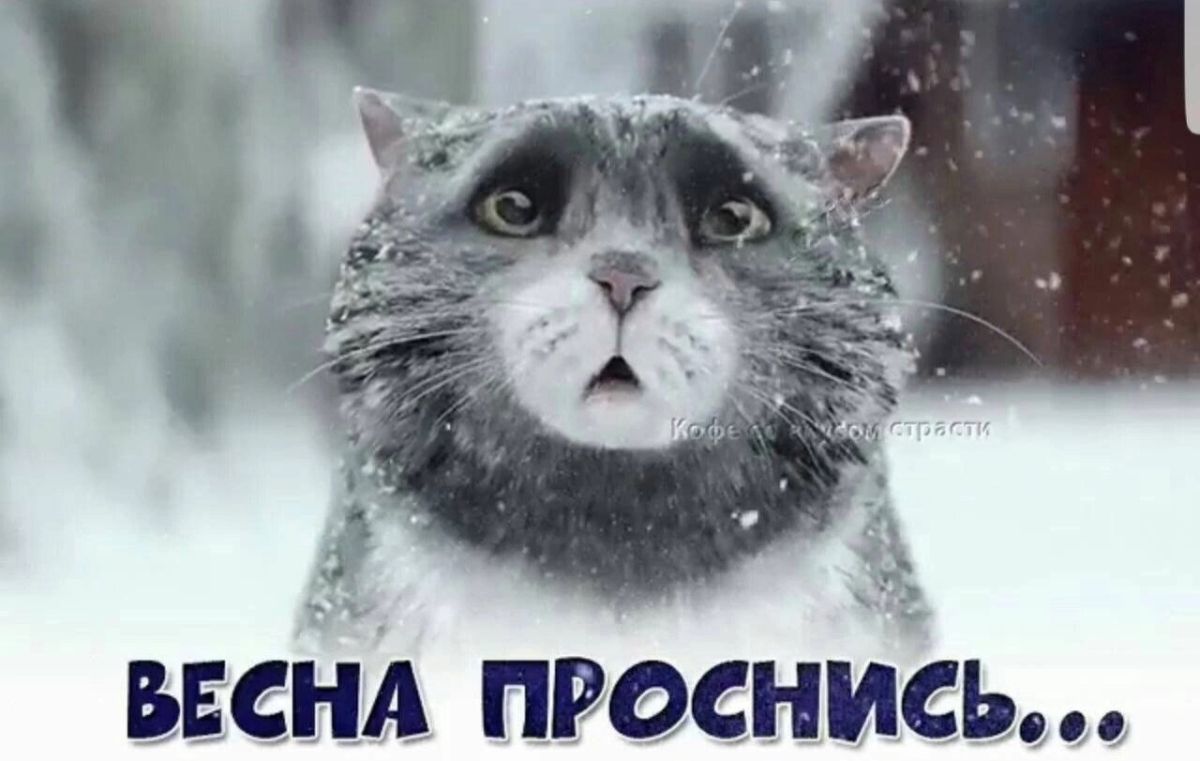 Иллюстрация к публикации