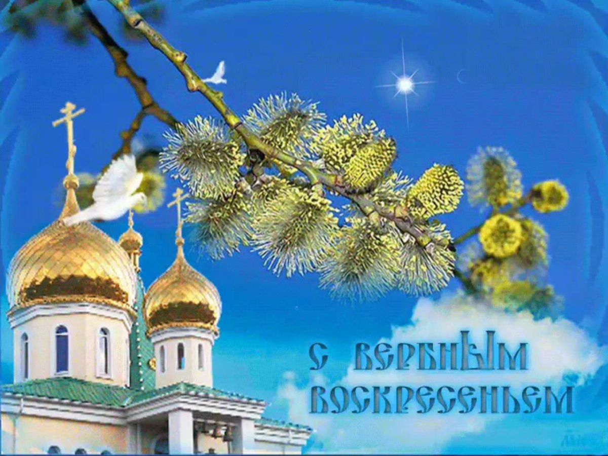 Иллюстрация к публикации
