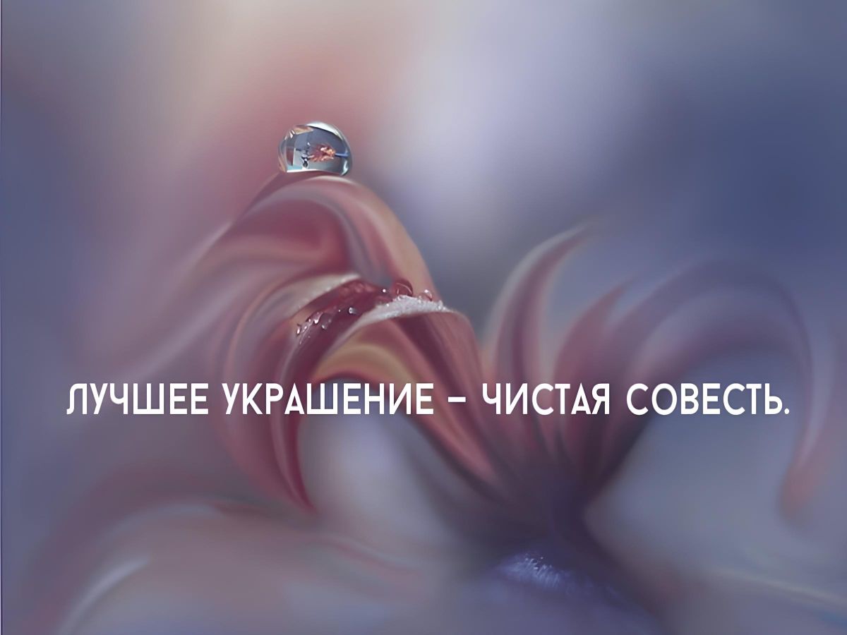 Иллюстрация к публикации