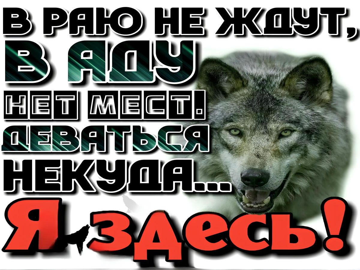 Иллюстрация к публикации