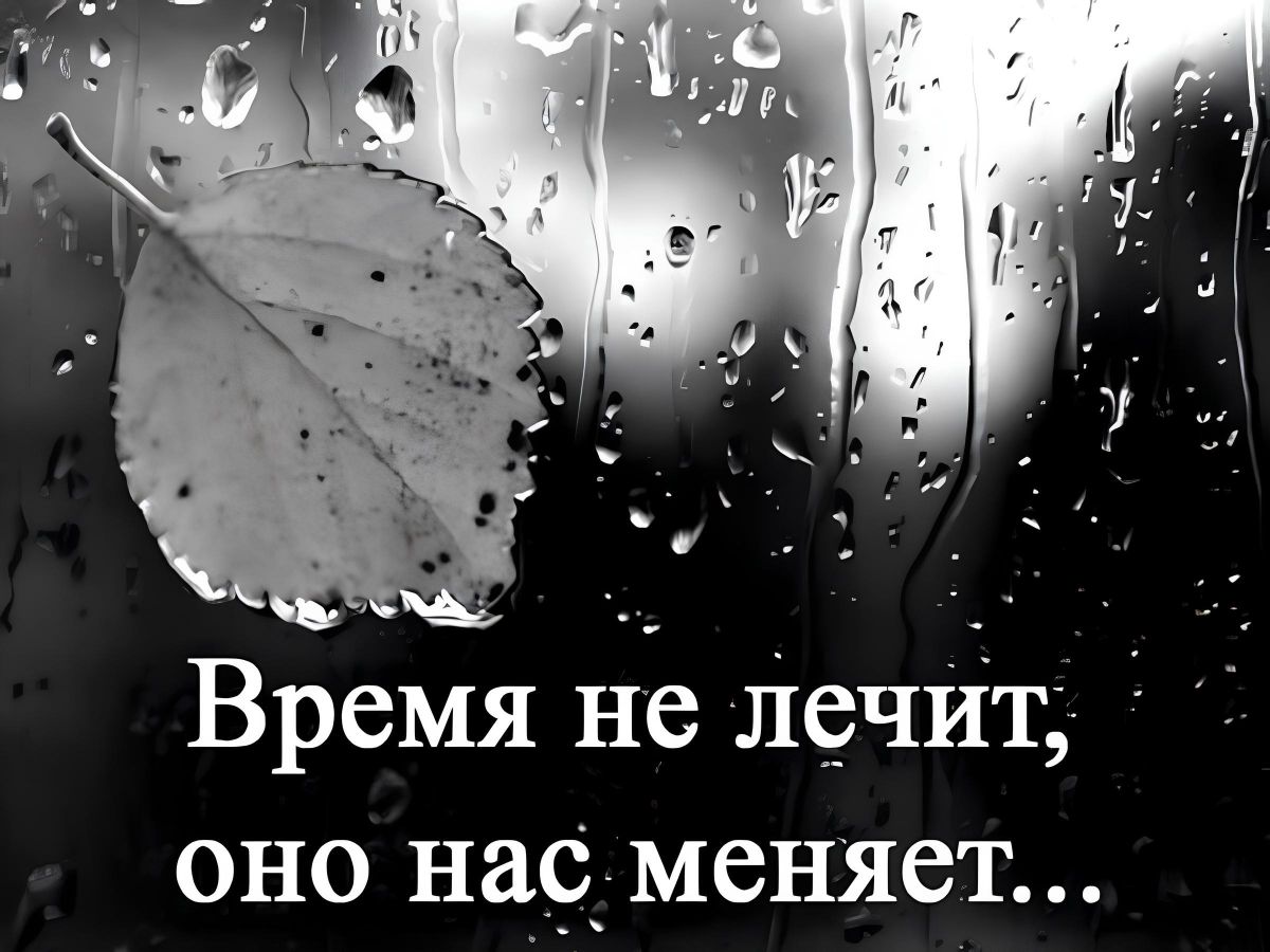 Иллюстрация к публикации