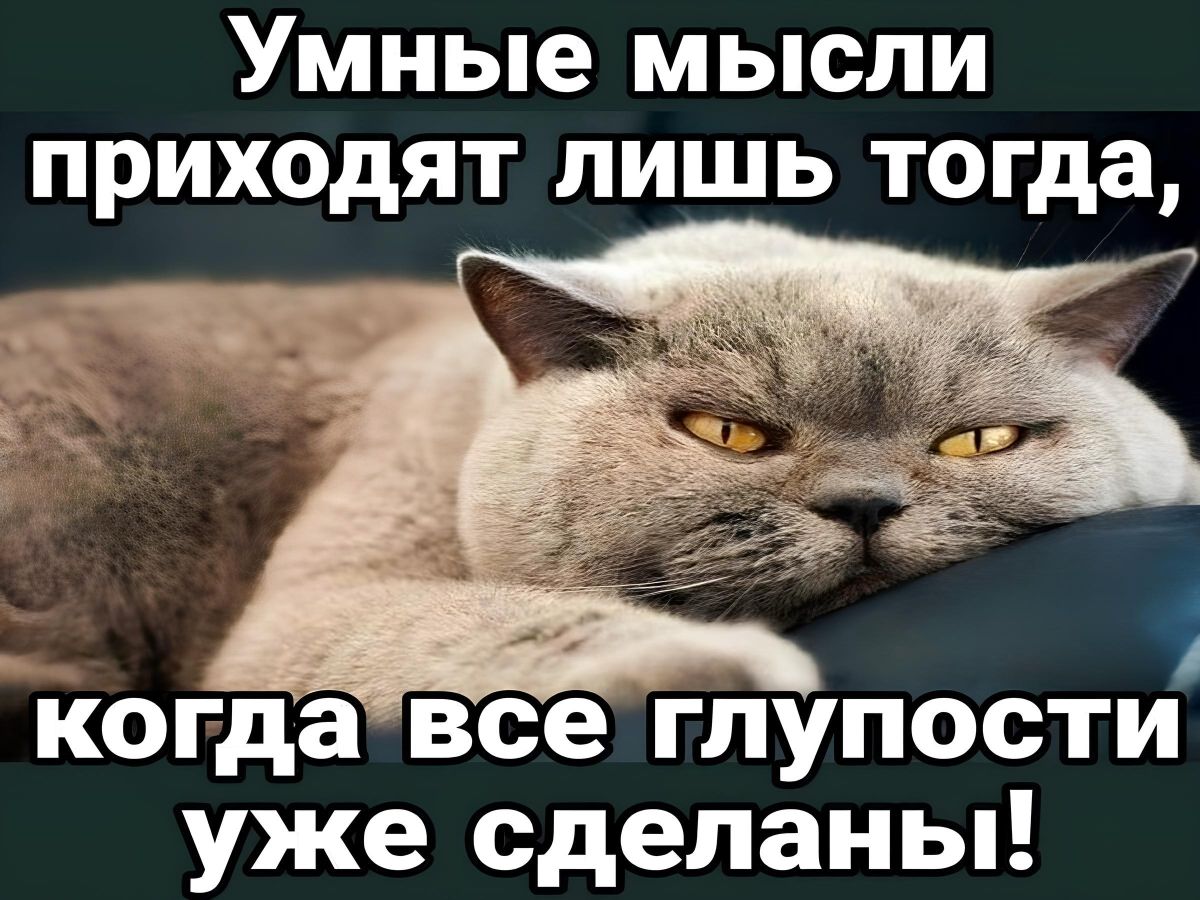 Иллюстрация к публикации