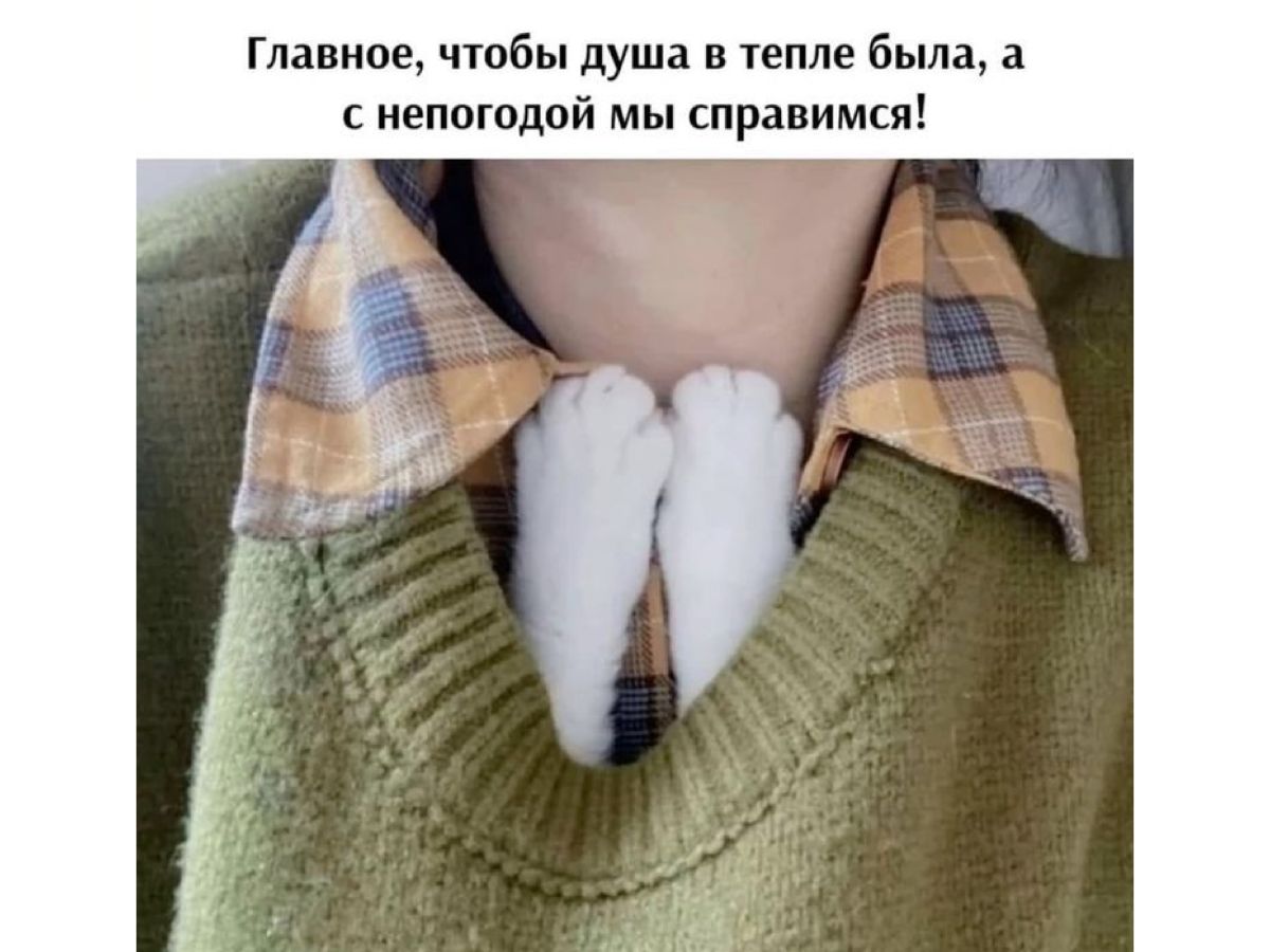 Иллюстрация к публикации