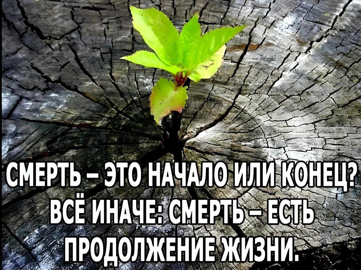 Иллюстрация к публикации