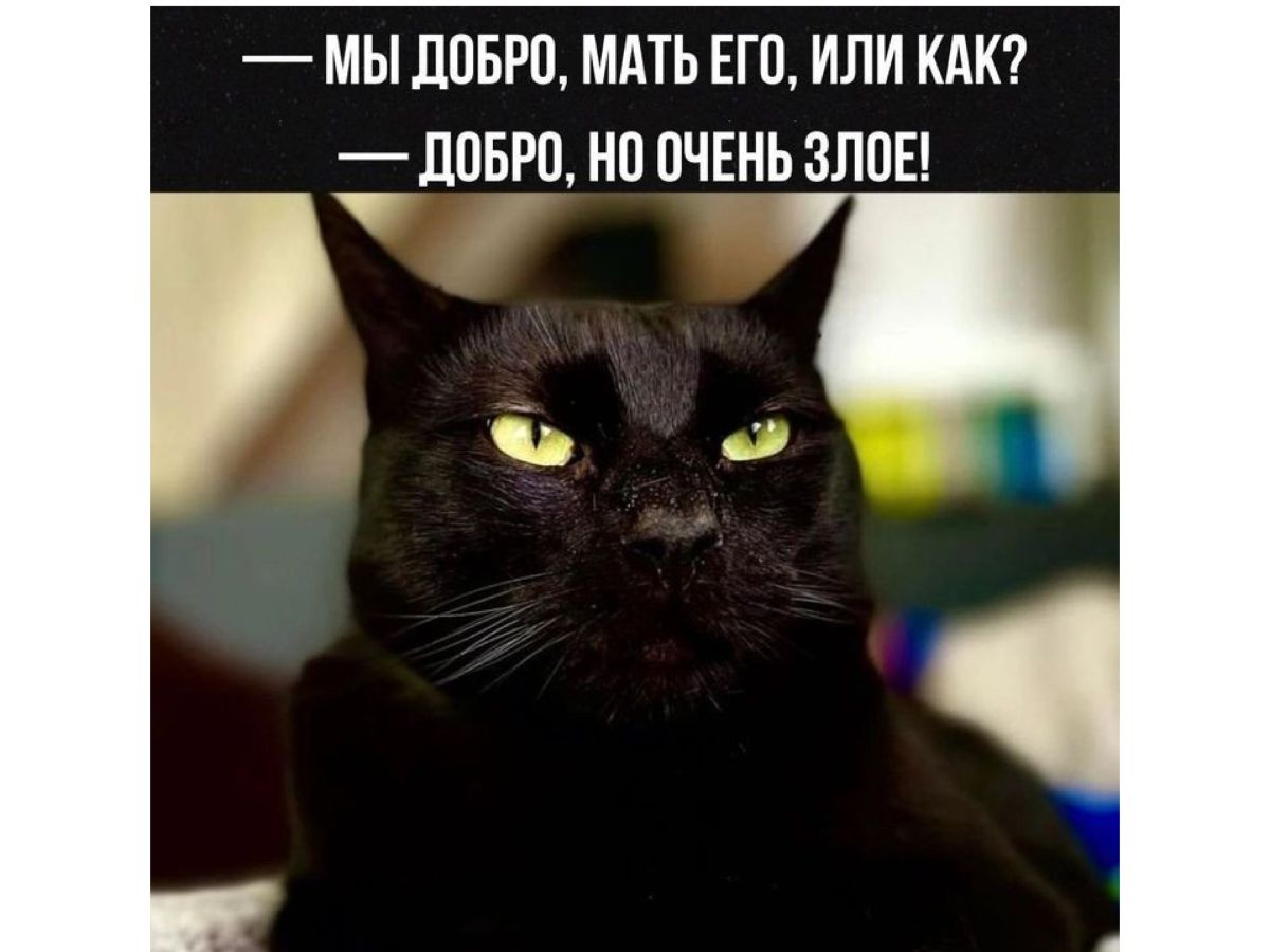 Иллюстрация к публикации