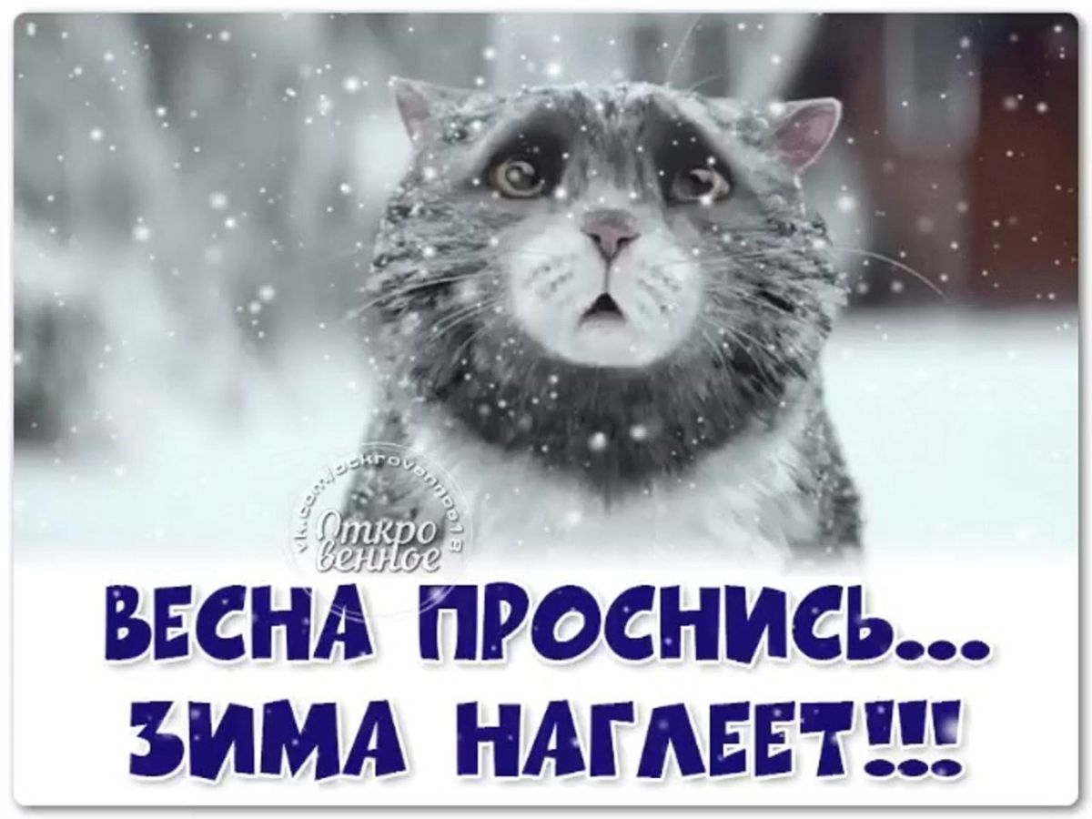 Иллюстрация к публикации