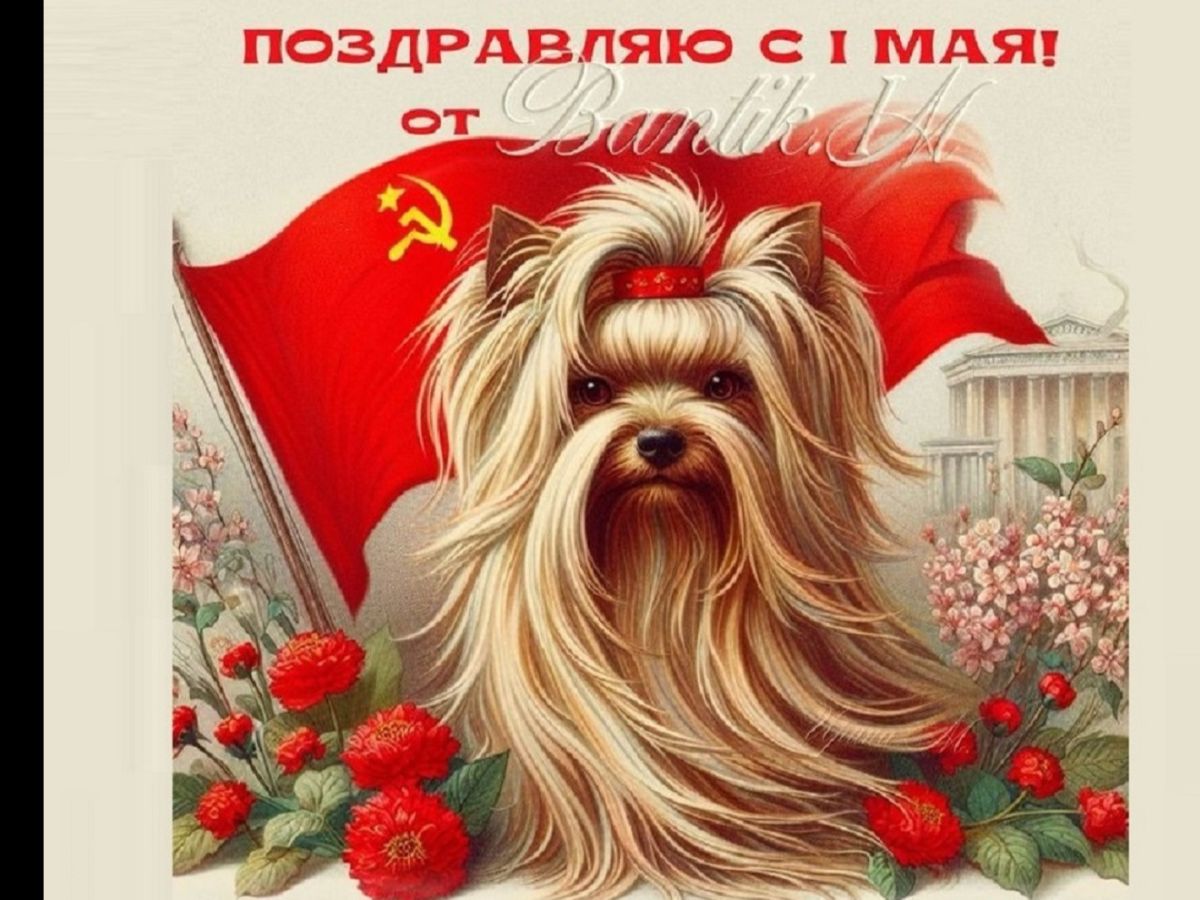 Иллюстрация к публикации