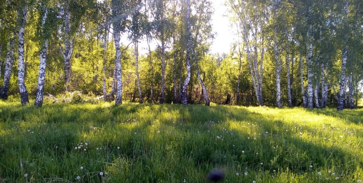 Иллюстрация к публикации