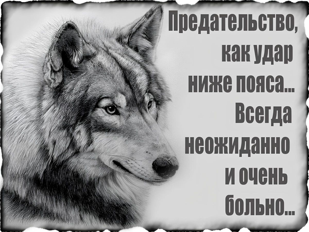 Иллюстрация к публикации
