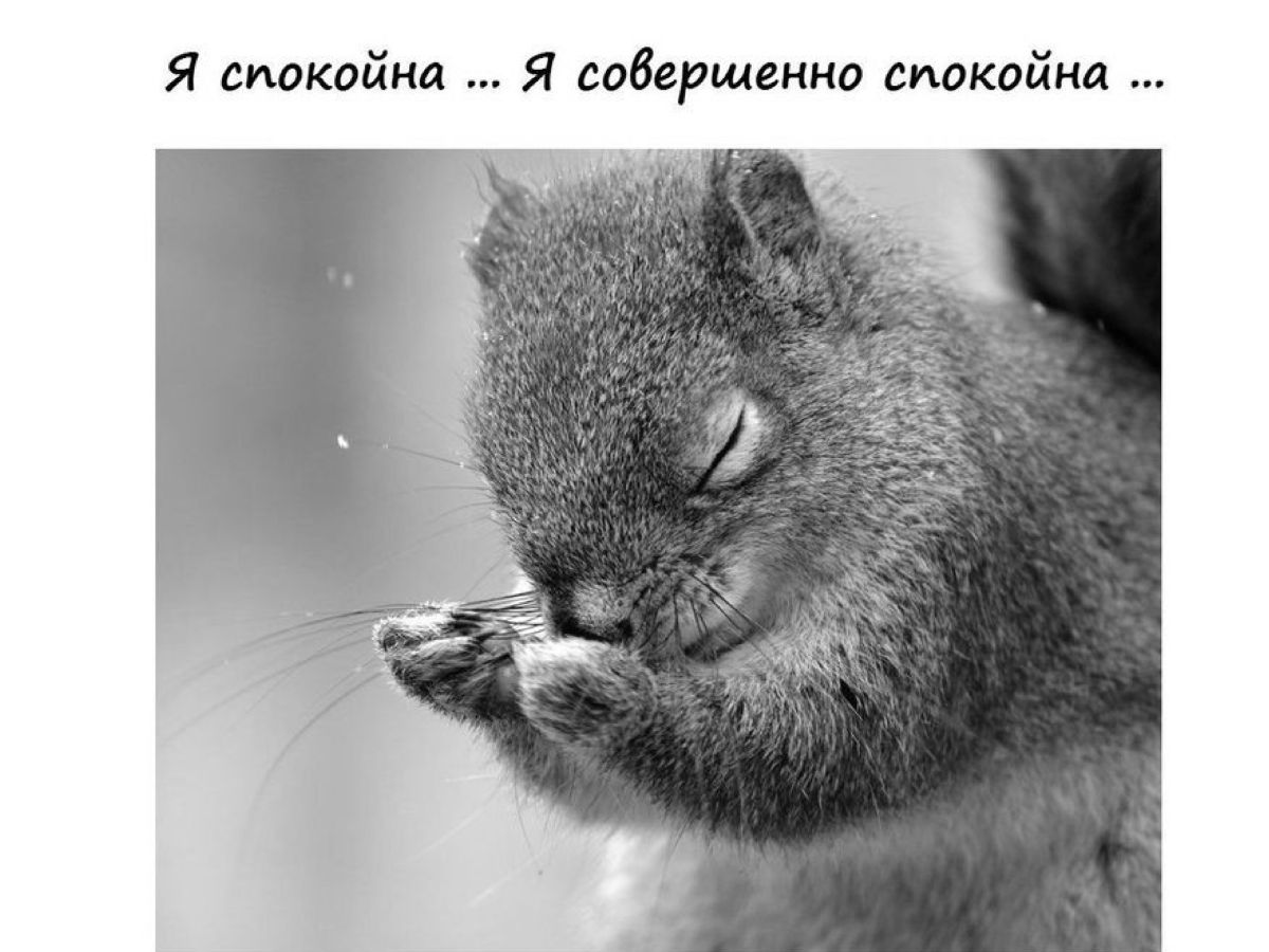 Иллюстрация к публикации