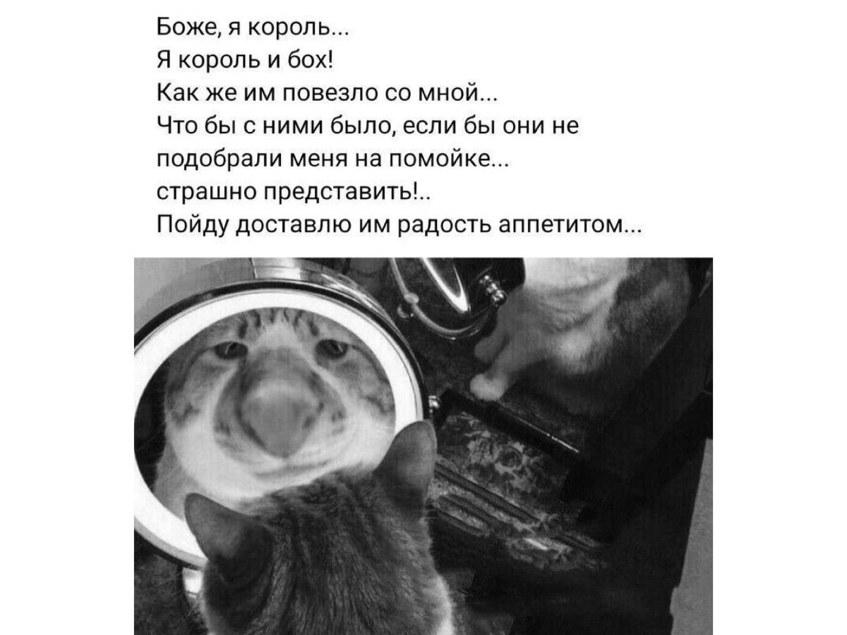 Иллюстрация к публикации