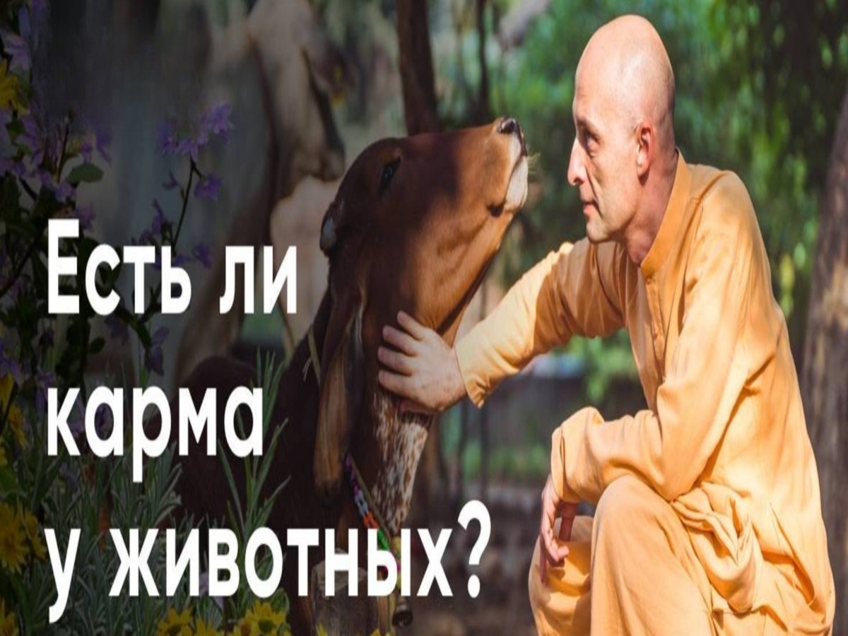 Иллюстрация к публикации