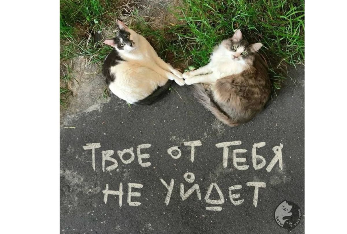 Иллюстрация к публикации