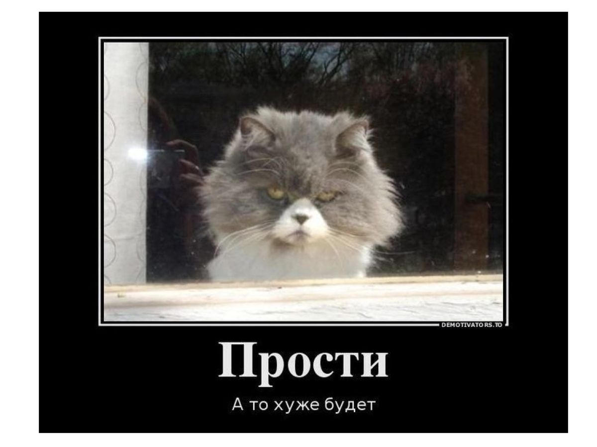 Иллюстрация к публикации
