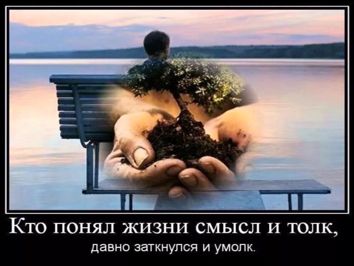 Иллюстрация к публикации