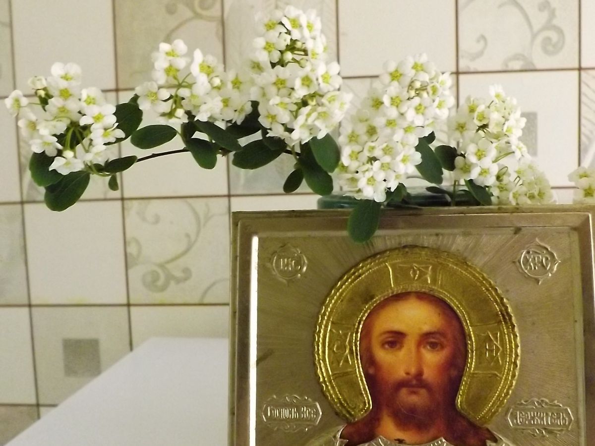 Иллюстрация к публикации