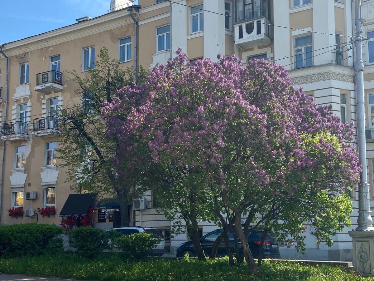 Иллюстрация к публикации