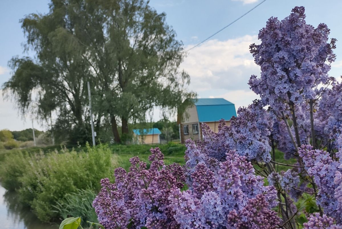 Иллюстрация к публикации