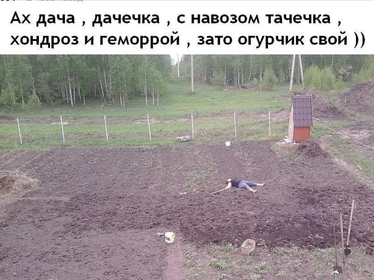 Иллюстрация к публикации