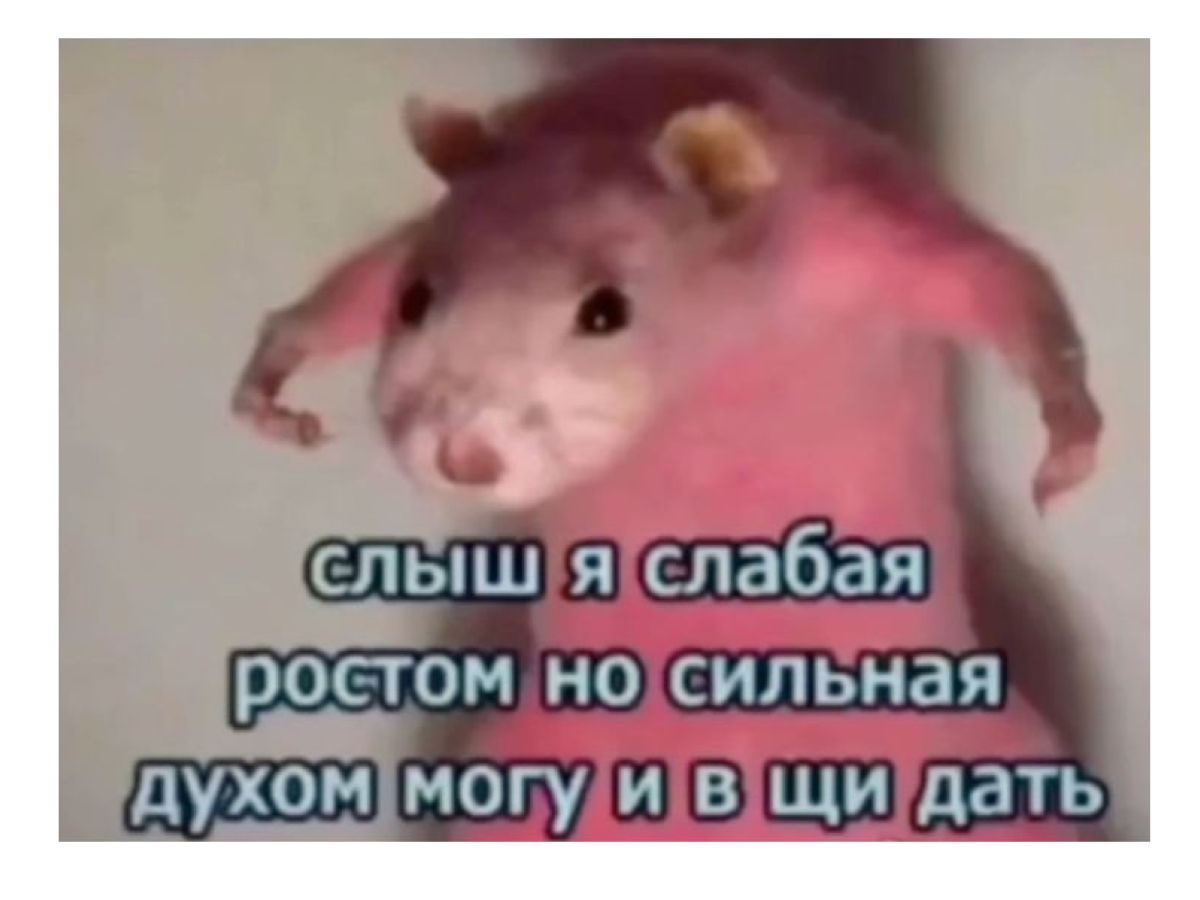 Иллюстрация к публикации