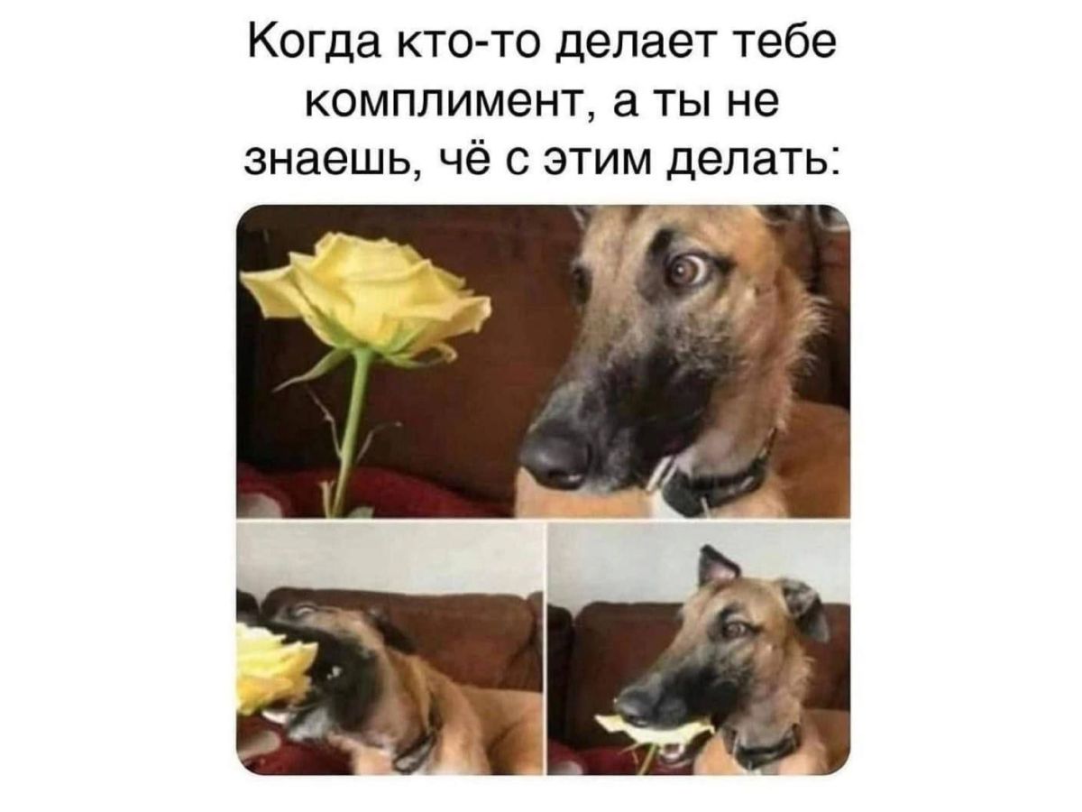 Иллюстрация к публикации