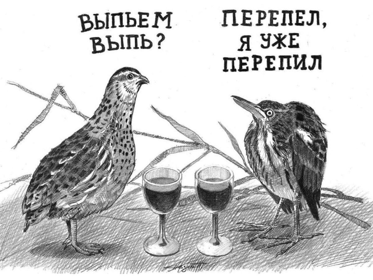 Иллюстрация к публикации