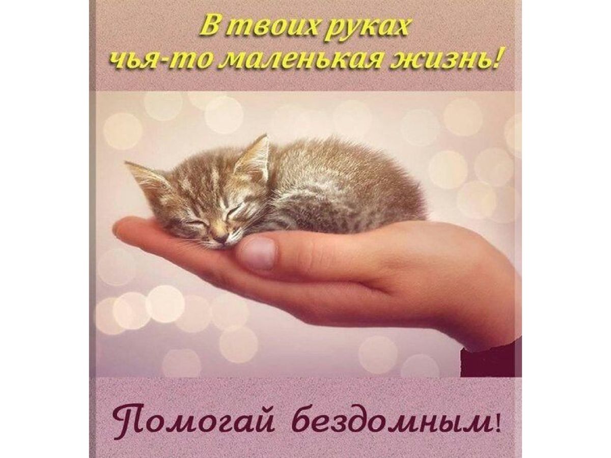 Иллюстрация к публикации