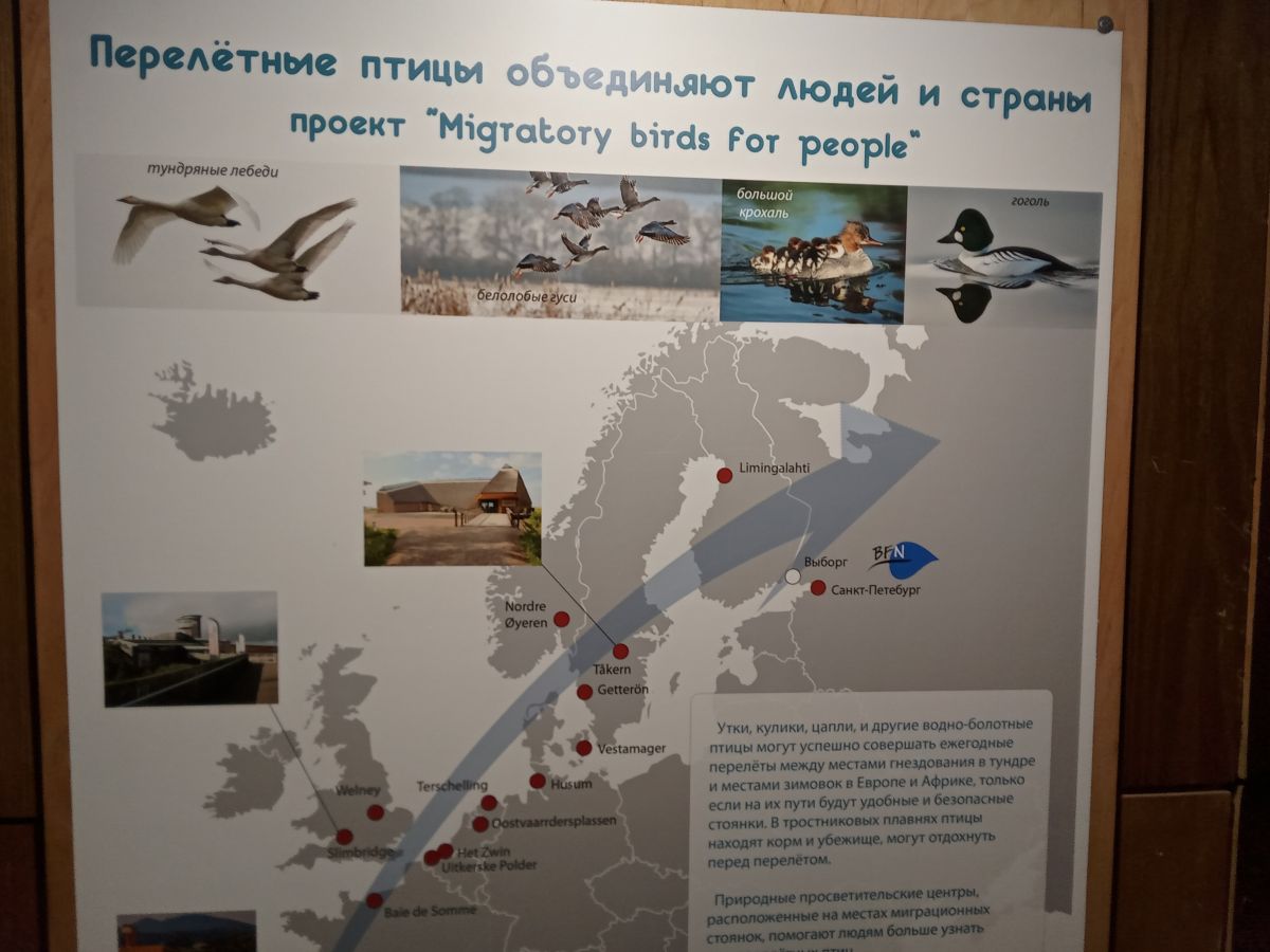 Иллюстрация к публикации