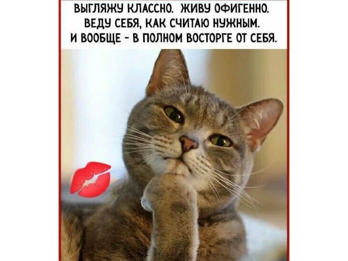Иллюстрация к публикации