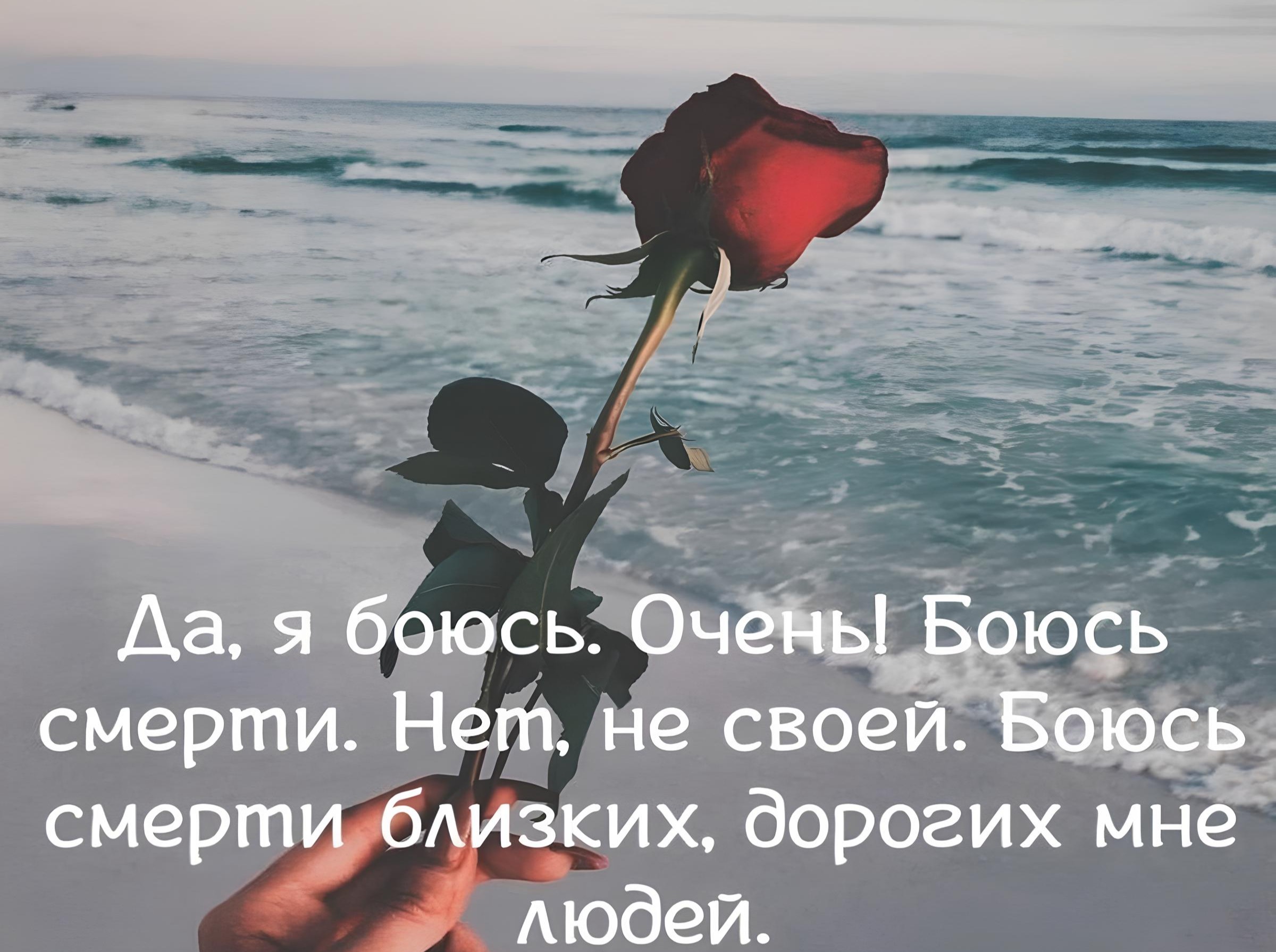 Иллюстрация к публикации