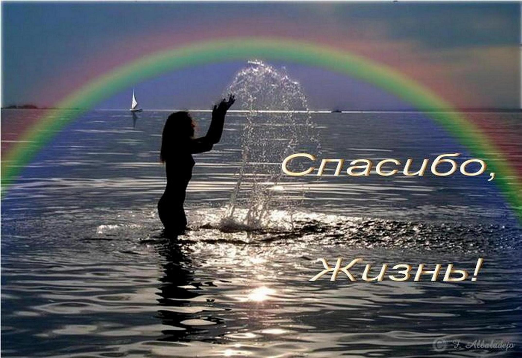 Иллюстрация к публикации