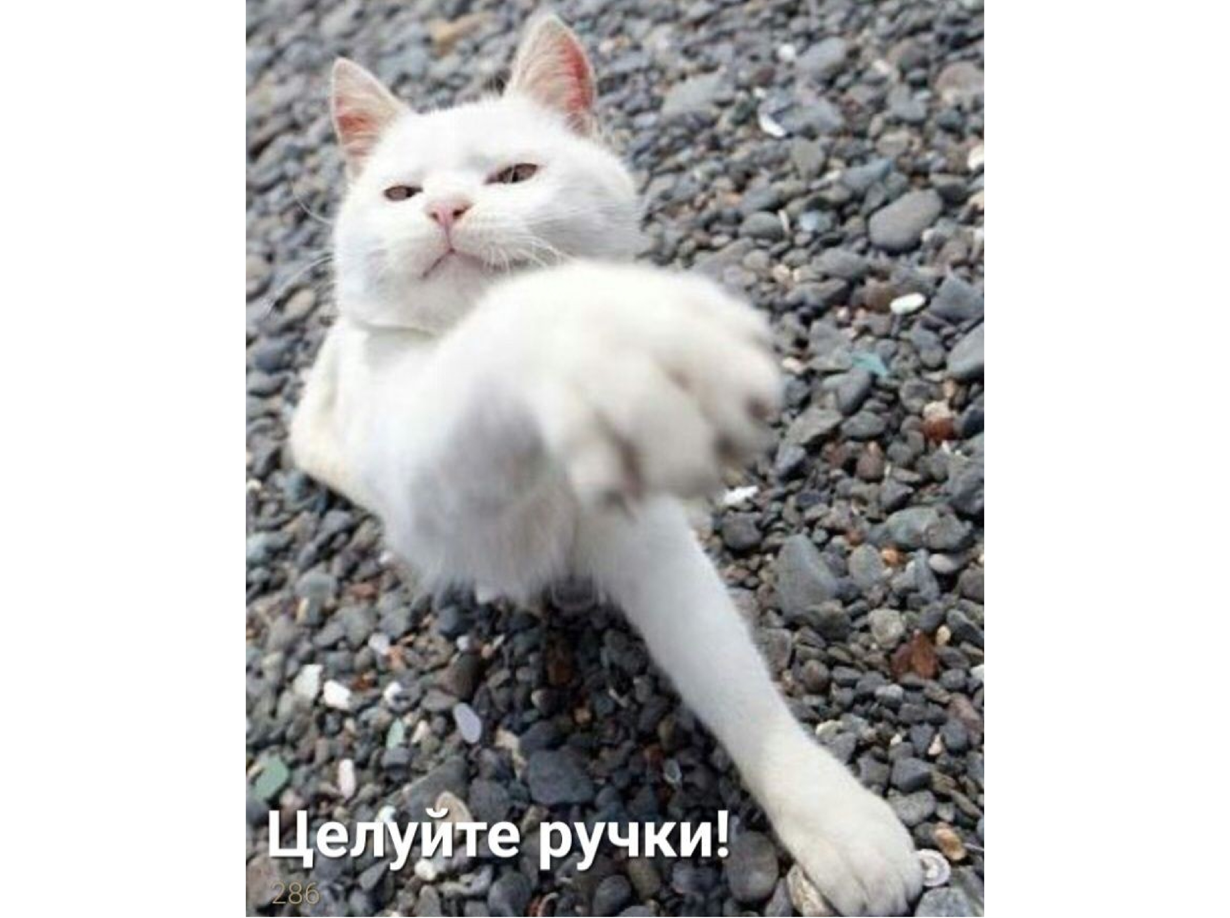 Иллюстрация к публикации