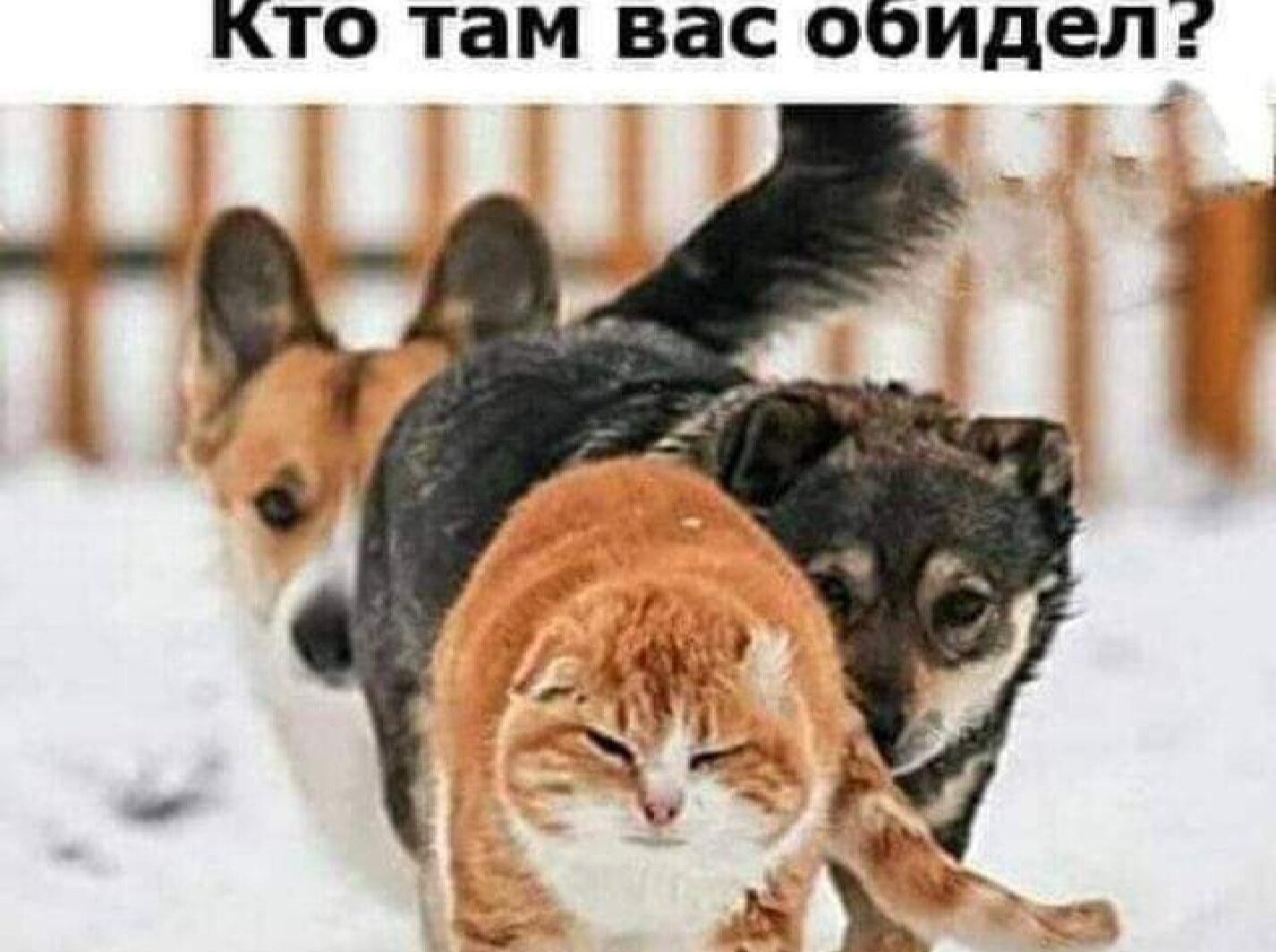 Иллюстрация к публикации