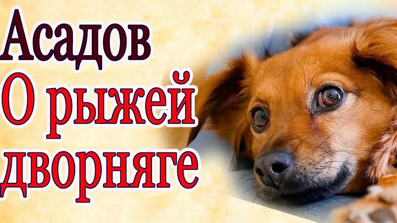 Иллюстрация к публикации