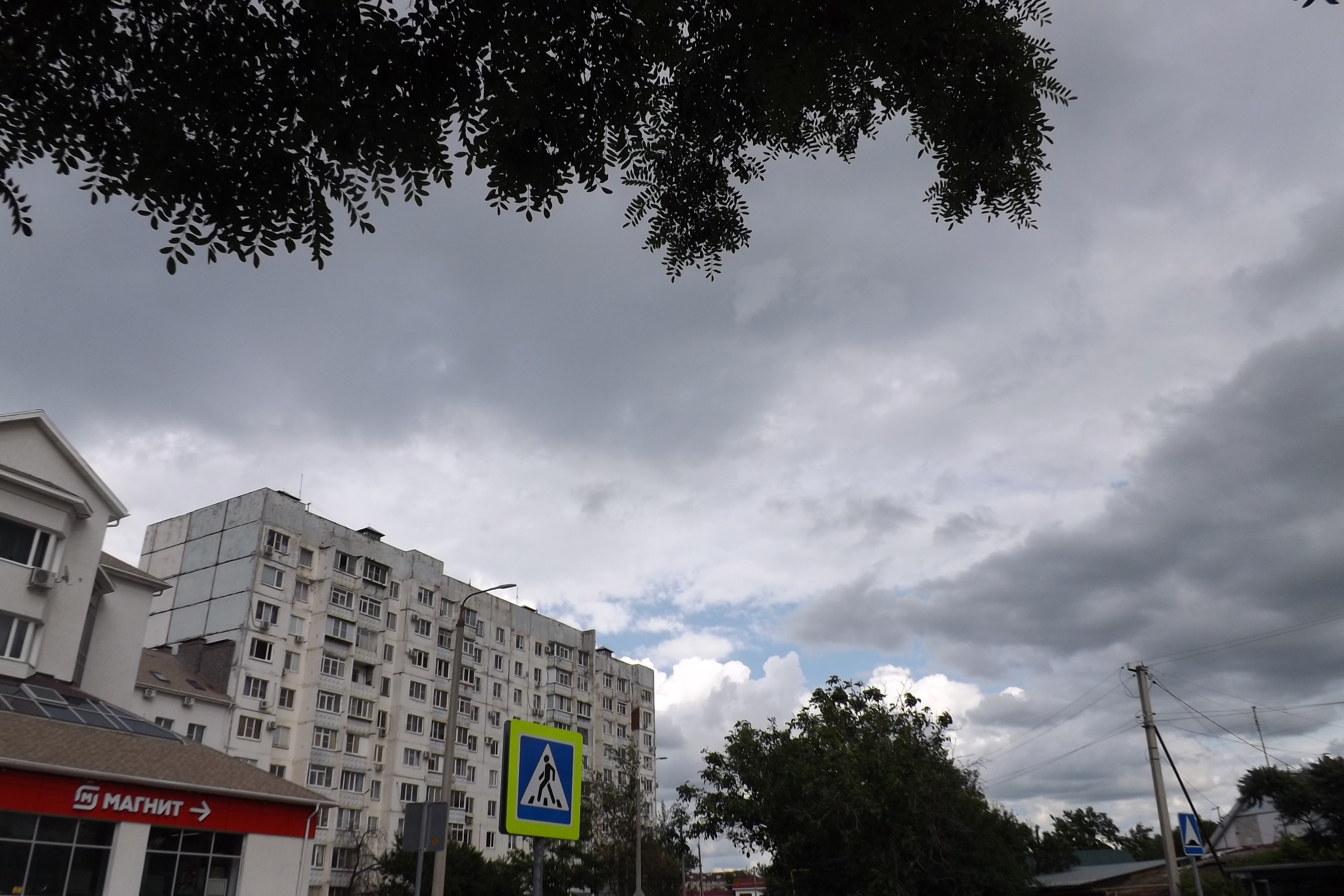 Иллюстрация к публикации