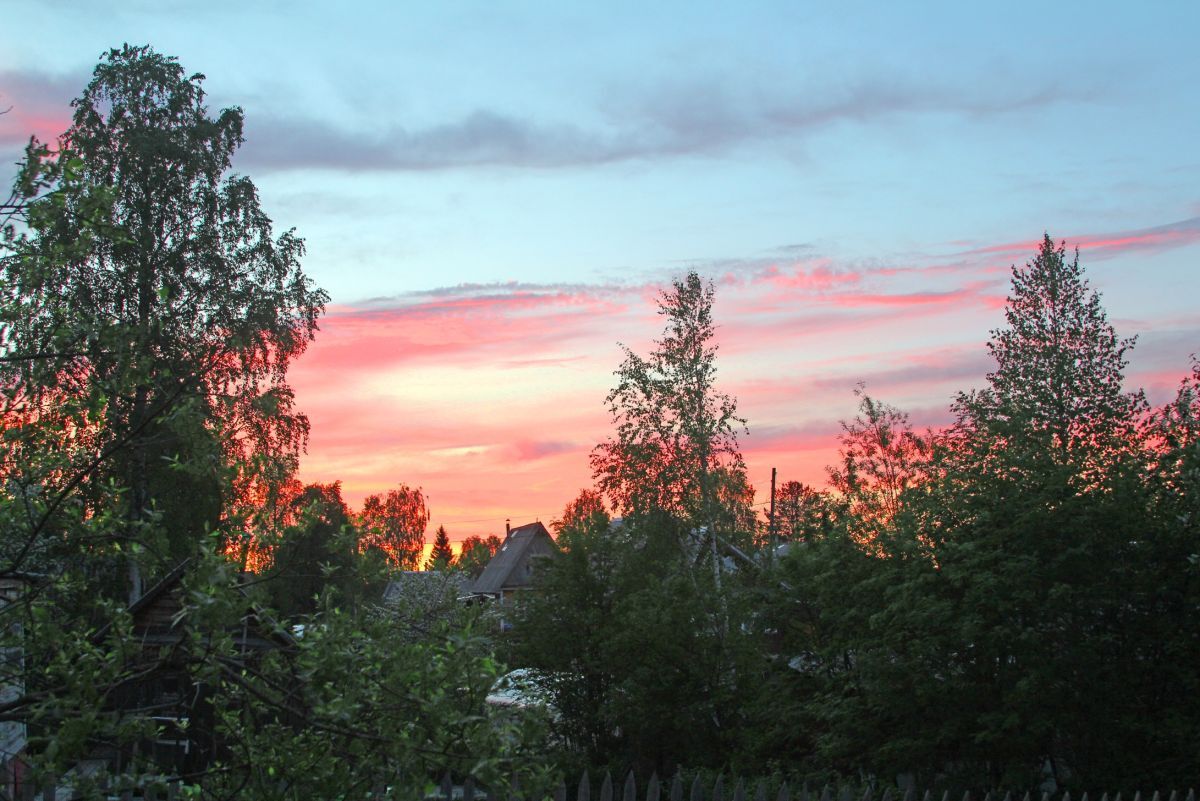 Иллюстрация к публикации