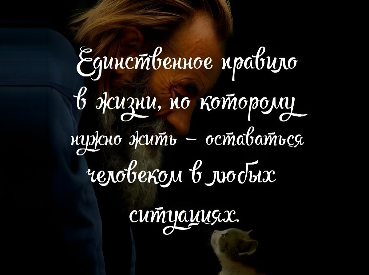 Иллюстрация к публикации
