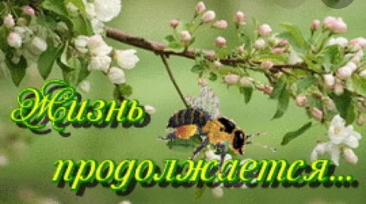 Иллюстрация к публикации
