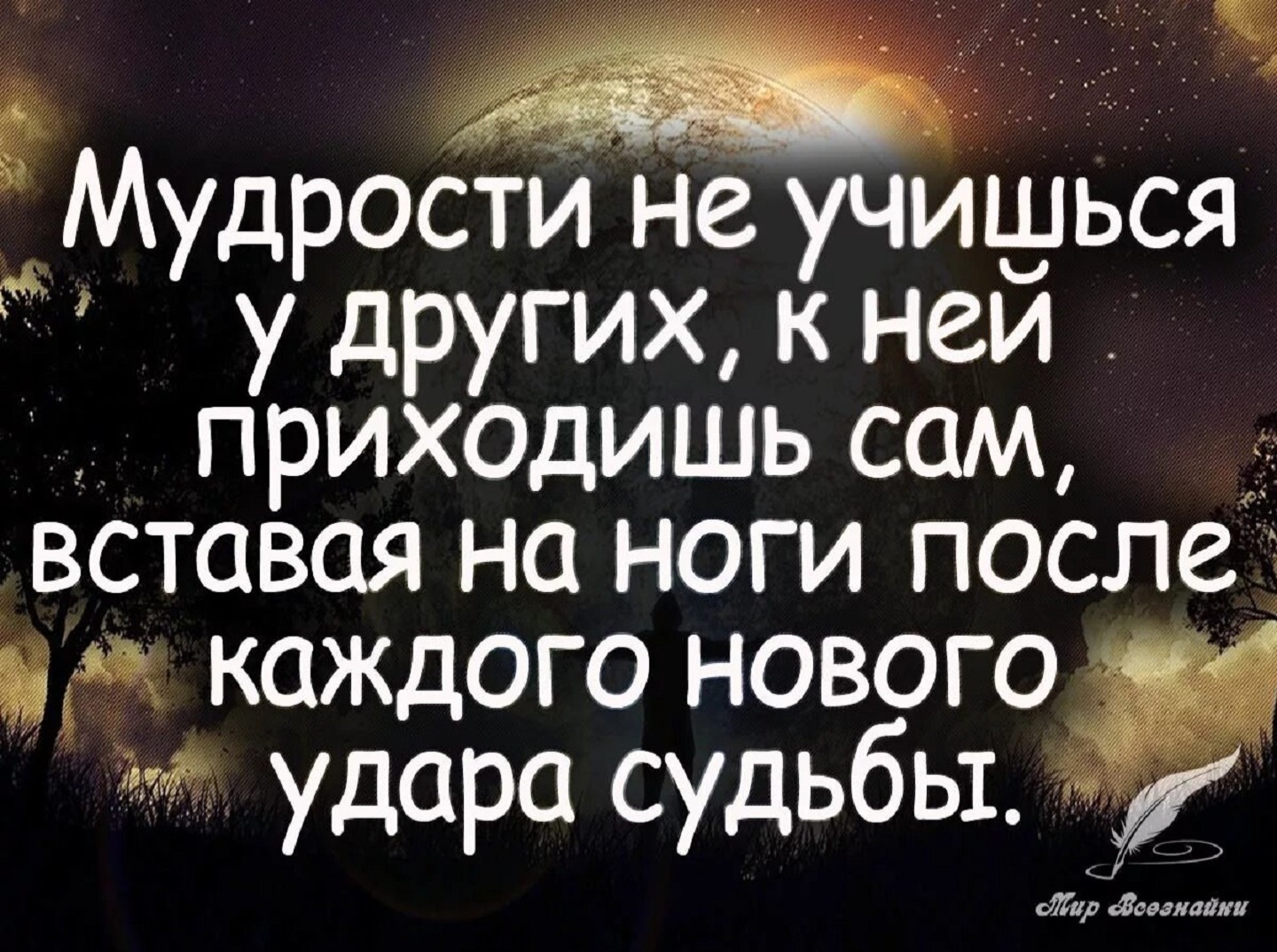 Иллюстрация к публикации