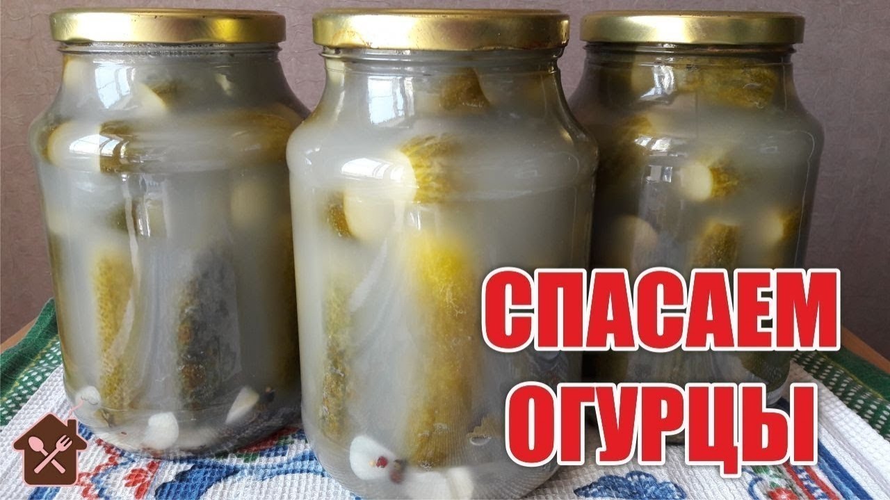 Иллюстрация к публикации
