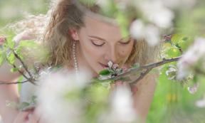 1771837-3719
