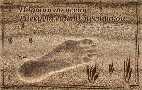 1559274-2379