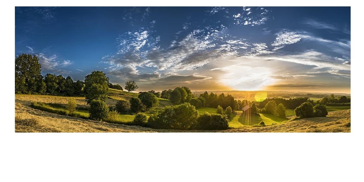 Иллюстрация к публикации