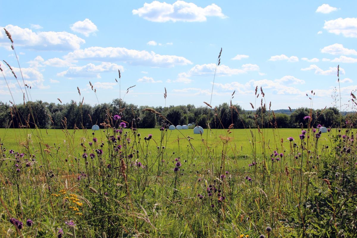 Иллюстрация к публикации