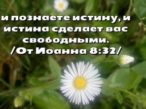1786481-6074