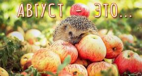1787131-7146