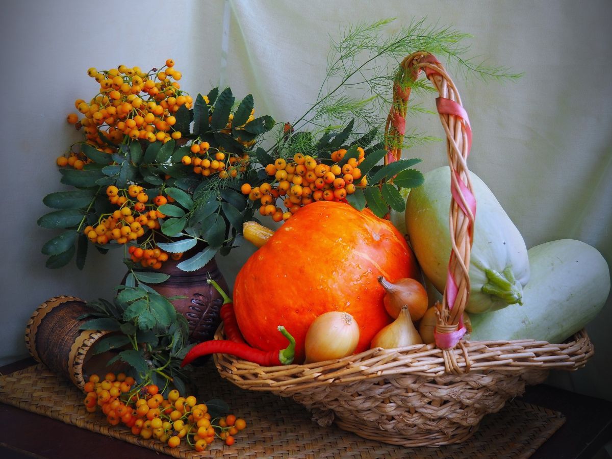 Иллюстрация к публикации