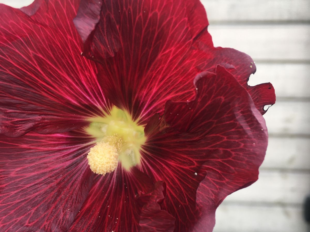 Иллюстрация к публикации